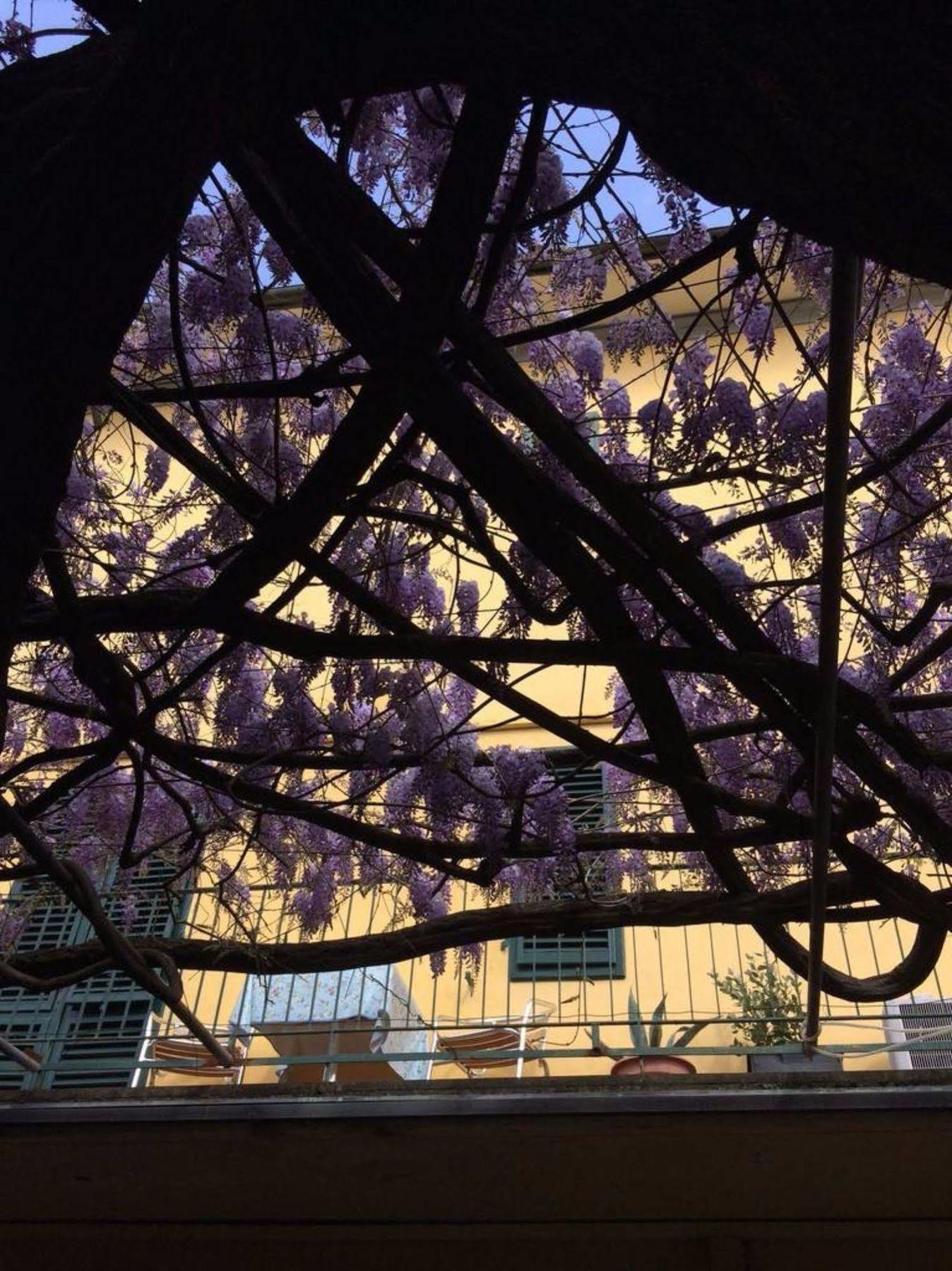 Hotel Stipino Lucca Esterno foto